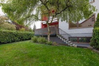 Blick aus dem Garten.jpg