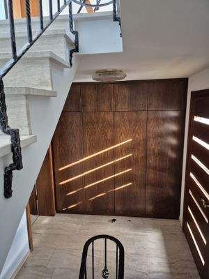 WhatsApp Image 2026-03-03 at 19.16.21(1).jpeg