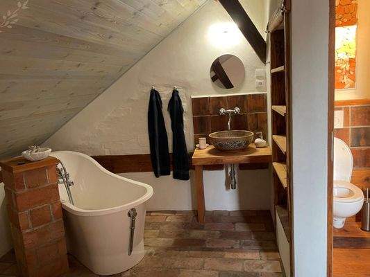 1746786319_8g21hzElVt