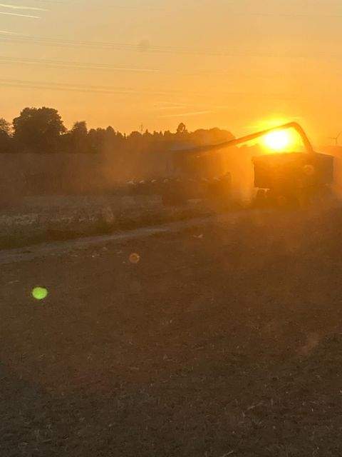 Frankfurt am Main Bauernhöfe, Landwirtschaft, Frankfurt am Main Forstwirtschaft