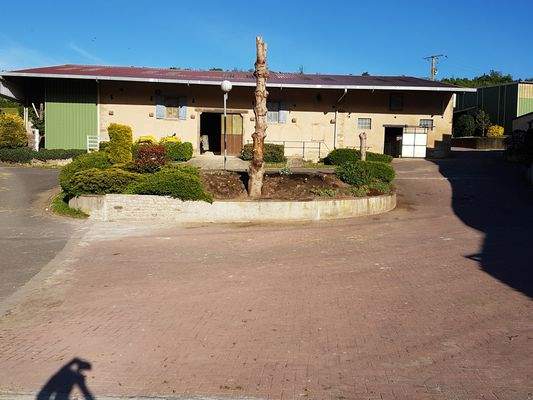 329955998_682577323664987_4326461719808963470_n.jp