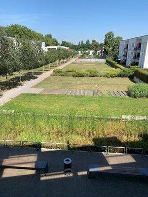 Ausblick Johanniskirchgärten