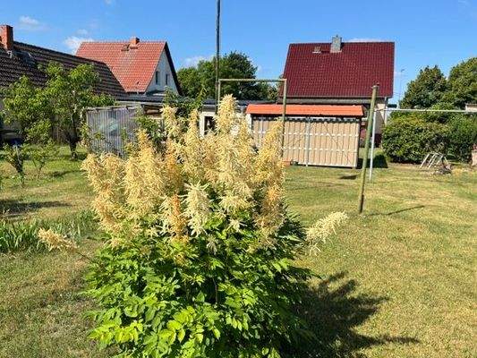 Grundstück      .jpeg