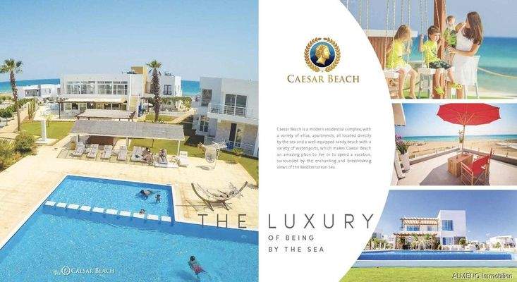 Caesar Projects Catalogue 2024_Seite_35