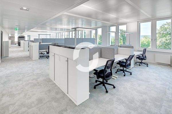 Fotos von Daniel Strauch 