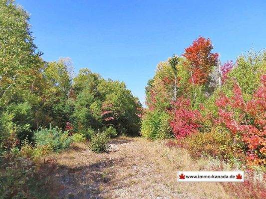 Nova Scotia - West Side Country Harbour - 52-Hekta