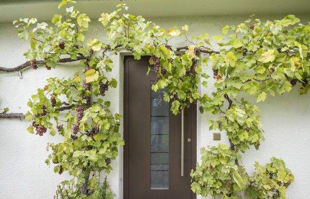 Eingang Einliegerwohnung