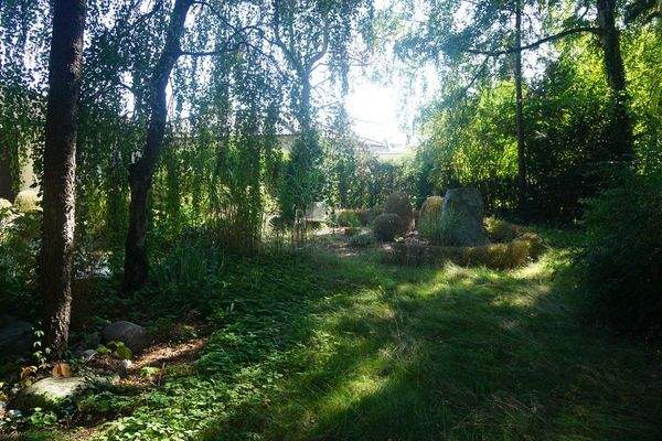 verwunschener Garten 1