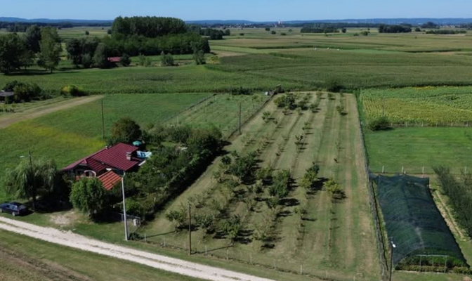 Grundstücke an der Drau -1