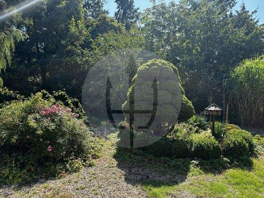 Gartenbepflanzung II