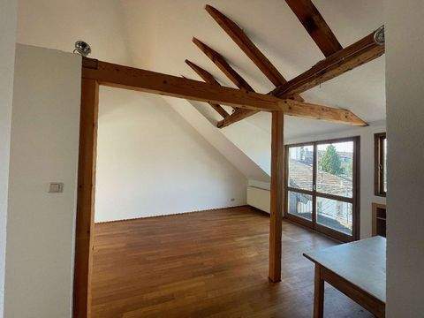 Ludwigshafen-Mundenheim Wohnungen, Ludwigshafen-Mundenheim Wohnung kaufen