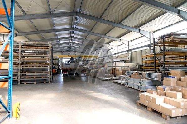 INFOS UNTER: 06171-586000