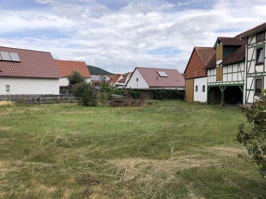 Blick aufs Grundstück