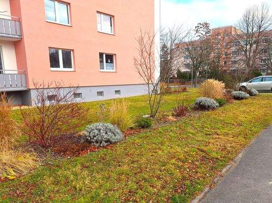 19 Außenanlagen.jpg