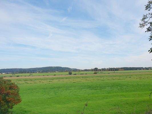 Ausblick vom Grundstück zur Elbe