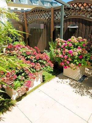 Dachterrasse Gartendetail