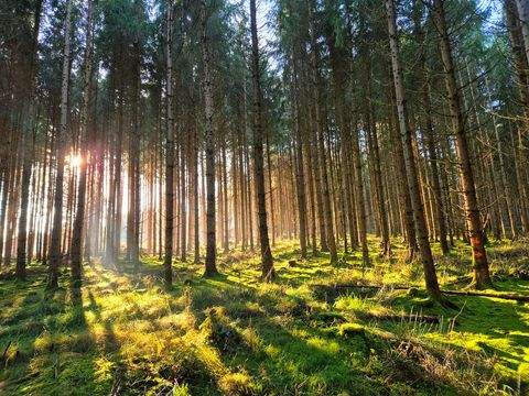 Kirchhaslach Grundstücke, Kirchhaslach Grundstück kaufen