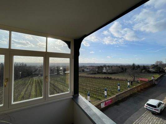 Ausblick vom Wintergarten