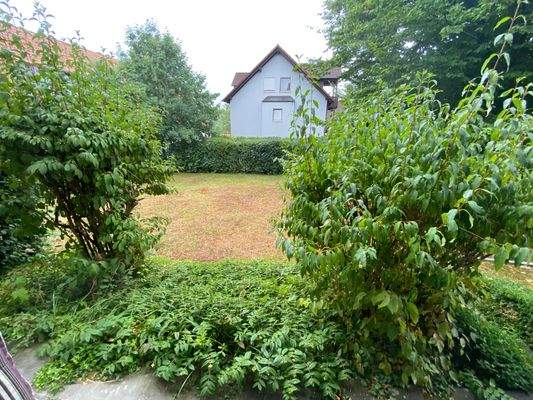 Garten.JPG
