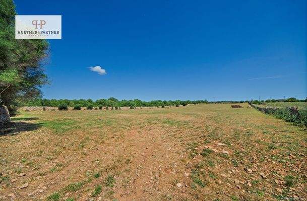 Grundstück Santa Margalida