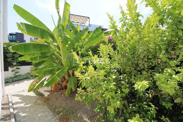 3-Bedroom Villa with Unobstructed Sea View and Pool in Esentepe