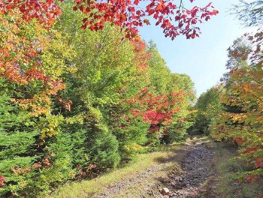 Nova Scotia - West Side Country Harbour - 52-Hekta
