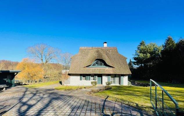 Einfahrt : Tor elektrisch öffnend.jpeg