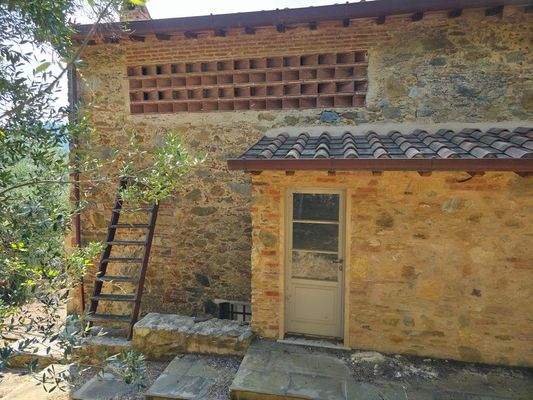 20250717_105832 (Kopie).jpg