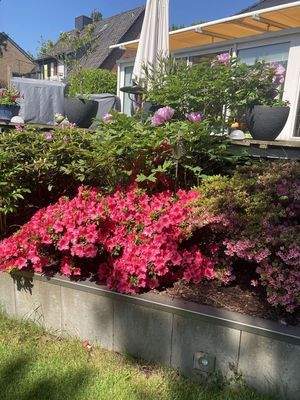 Blick auf die Terrasse