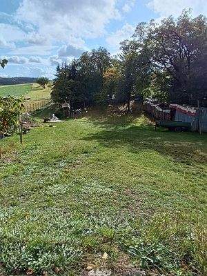 Blick vom Haus zum Grundstück.jpg