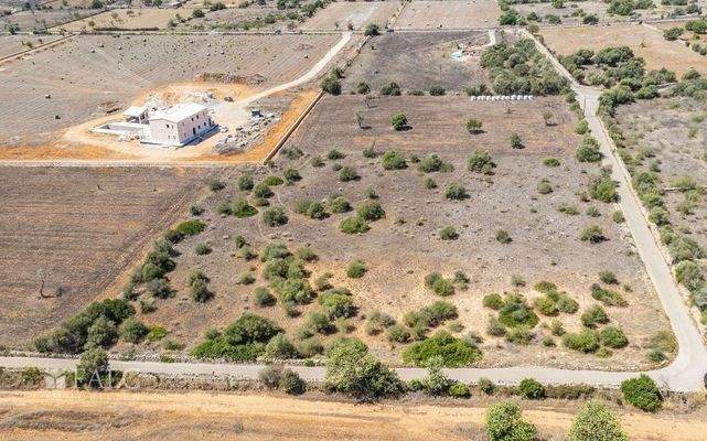 Grundstück-Cala Llombards-6