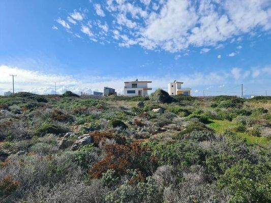 Kreta, Stavros: Riesiges Grundstück in Strandnähe zu verkaufen