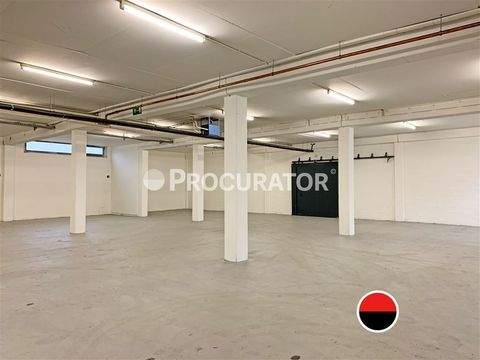 Hamburg Halle, Hamburg Hallenfläche