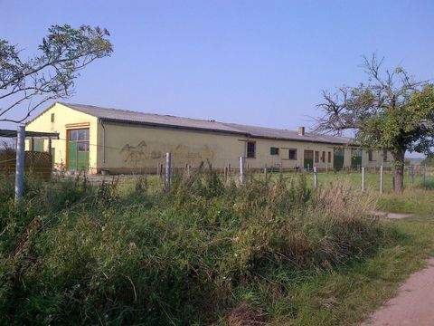 Linum Bauernhöfe, Landwirtschaft, Linum Forstwirtschaft