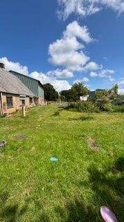 Grundstück Südseite.jpg