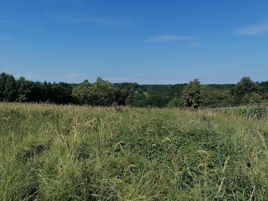  Westliche Panorama von Osten