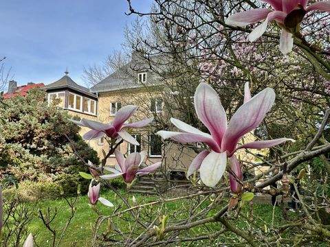 Chemnitz Häuser, Chemnitz Haus kaufen
