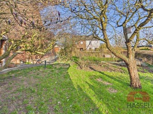 Garten mit Bestandsbäumen