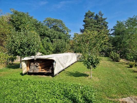 Garten3