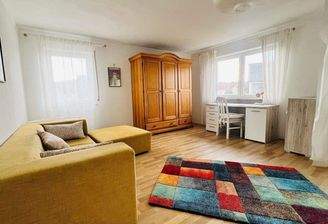 grosses geräumiges Wohnzimmer 