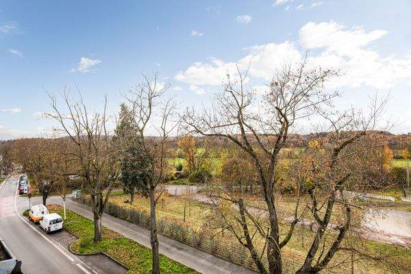 Weitläufiger Blick ins Grüne über Felder und Baumkronen