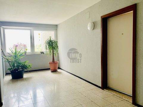 Wolfsburg / Fallersleben Wohnungen, Wolfsburg / Fallersleben Wohnung kaufen