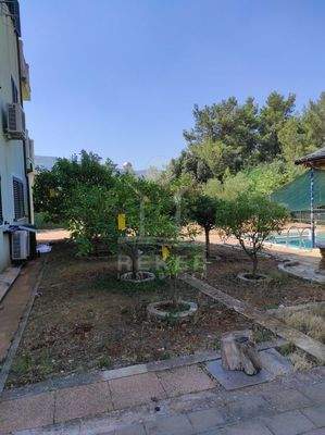 Das zusätzliche Steinhaus