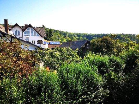 Blick vom Balkon 2.jpeg