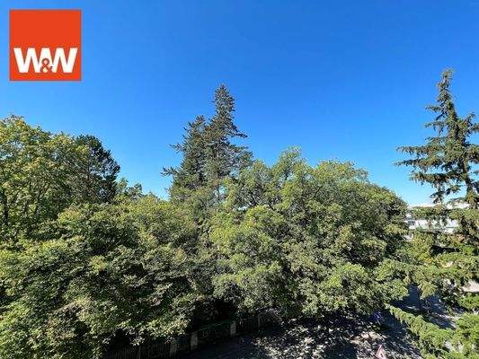 Blick aus dem Wohnzimmer