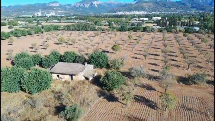 Suelo-edificable-Inca