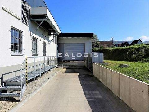 Schweinfurt Halle, Schweinfurt Hallenfläche