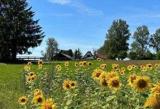 Gutshof mit Landwirtschaft und Pferdehaltung, nahe