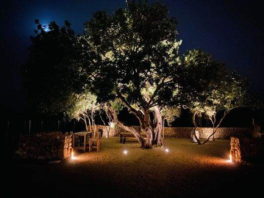 77fe0289-548d-4615-a107-a1322a673d3f