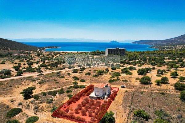 img_eb71dfed-5f3a-4bd6-81fe-cd1deb702e52